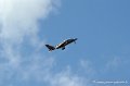 alphajet_166