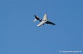 alphajet_168
