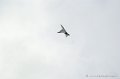 mirage2000_223