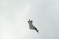 mirage2000_224