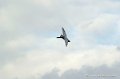mirage2000_226