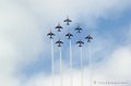 paf_282