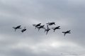 paf_287