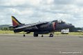 harrier_009