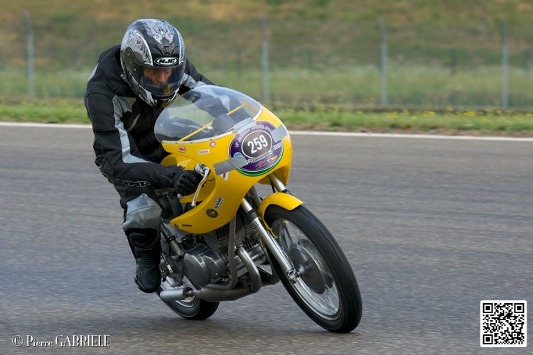 coyotes-2014-solo_4339.jpg