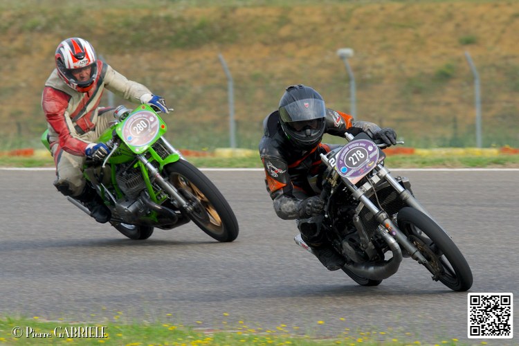 coyotes-2014-solo_4354.jpg