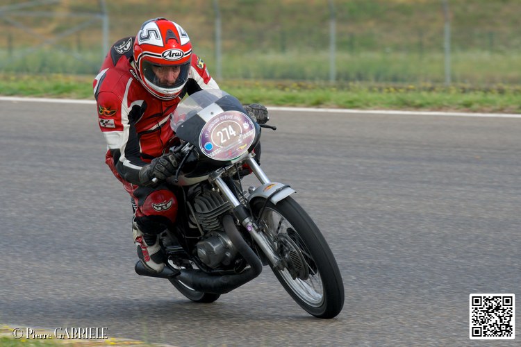 coyotes-2014-solo_4360.jpg