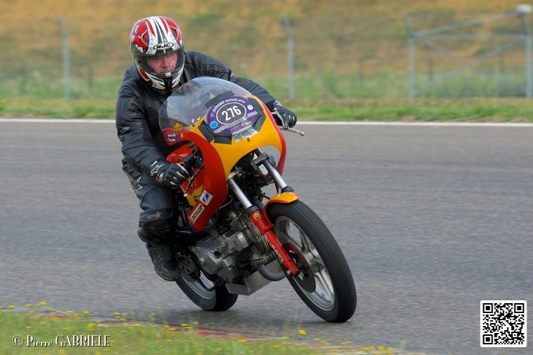 coyotes-2014-solo_4362.jpg