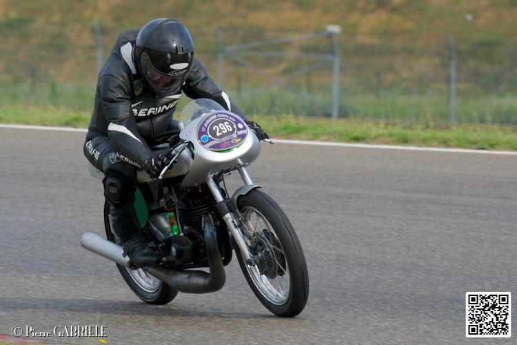 coyotes-2014-solo_4368.jpg