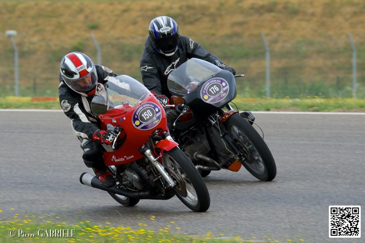 coyotes-2014-solo_4411.jpg