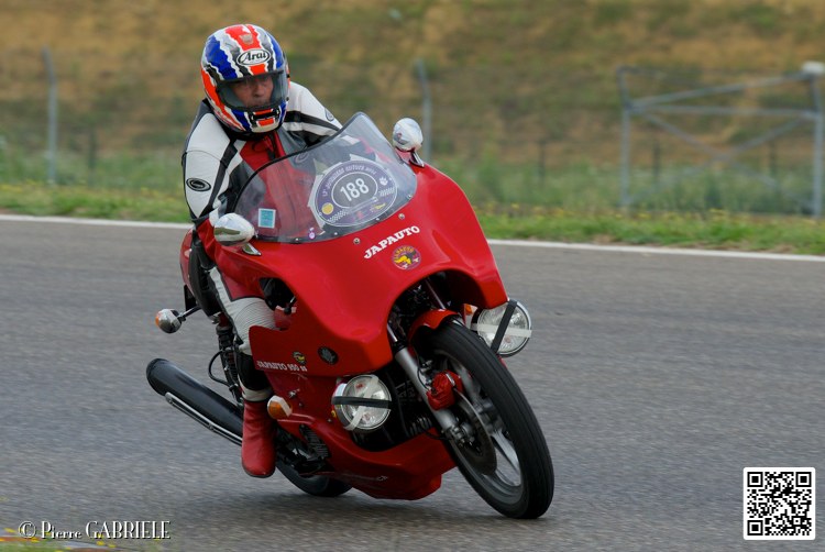 coyotes-2014-solo_4416.jpg