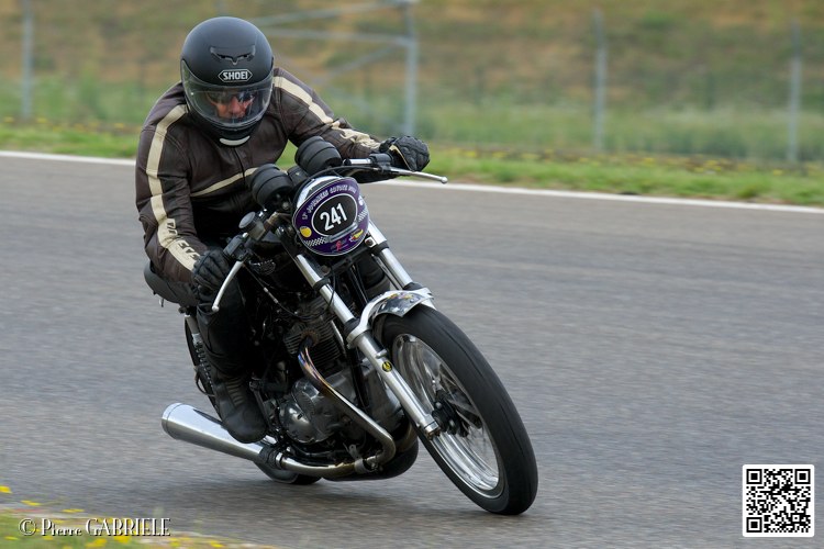 coyotes-2014-solo_4424.jpg