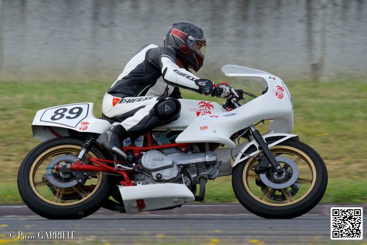 coyotes-2014-solo_4466.jpg