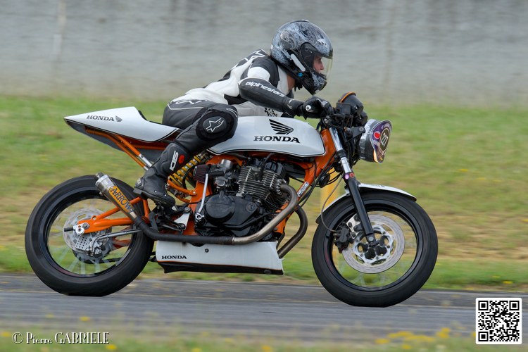 coyotes-2014-solo_4484.jpg
