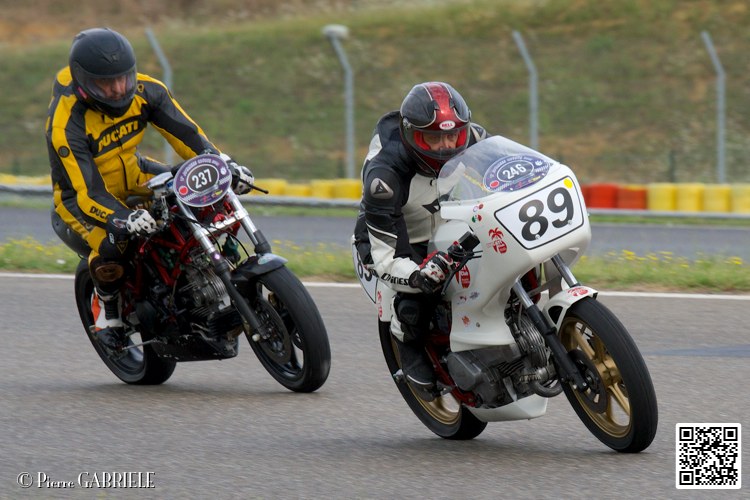 coyotes-2014-solo_4498.jpg