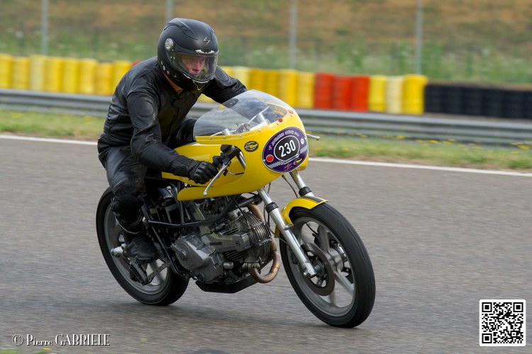coyotes-2014-solo_4504.jpg
