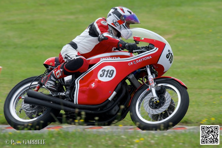 coyotes-2014-solo_4703.jpg