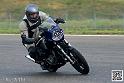 coyotes-2014-solo_4348