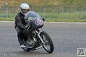 coyotes-2014-solo_4358