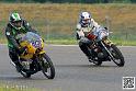 coyotes-2014-solo_4367