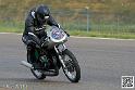 coyotes-2014-solo_4368