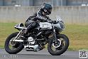 coyotes-2014-solo_4369