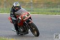 coyotes-2014-solo_4381