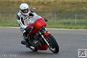 coyotes-2014-solo_4401