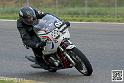 coyotes-2014-solo_4402