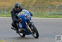coyotes-2014-solo_4405
