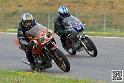 coyotes-2014-solo_4406