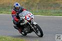 coyotes-2014-solo_4408