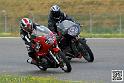 coyotes-2014-solo_4411