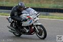 coyotes-2014-solo_4441