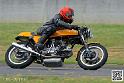 coyotes-2014-solo_4449