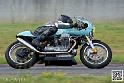 coyotes-2014-solo_4468