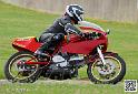 coyotes-2014-solo_4645