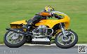 coyotes-2014-solo_4902