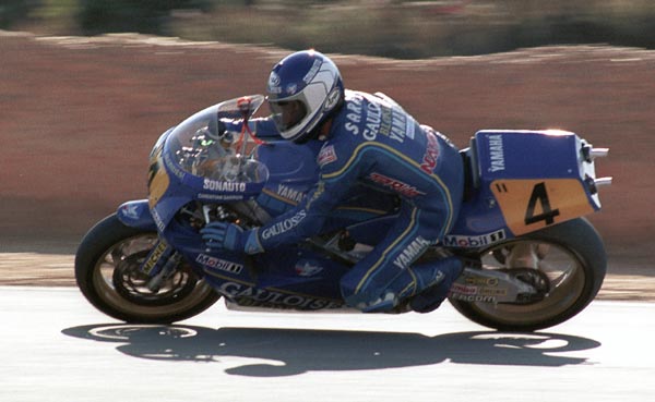 sarron2.jpg