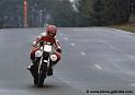 guy_d233