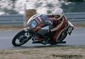 dahne_d183