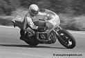 macchi_206