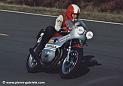 williams_d306