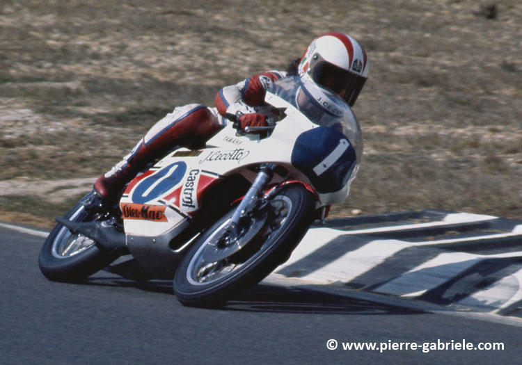 cecotto_d055.jpg
