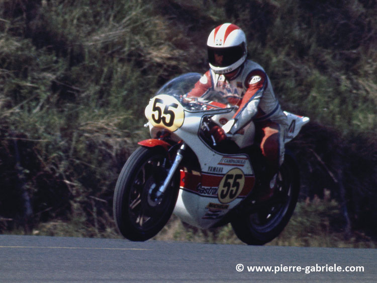 cecotto_d183.jpg