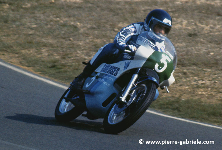 pons_d423.jpg