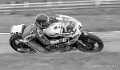 pons-023
