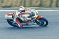 cecottoyam500