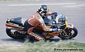 sheene_d043