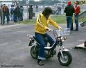sheene_d280
